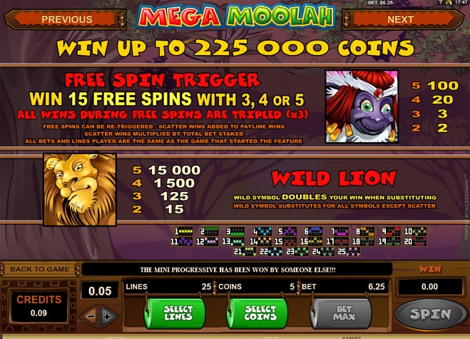 Mega Moolah Slot game rules